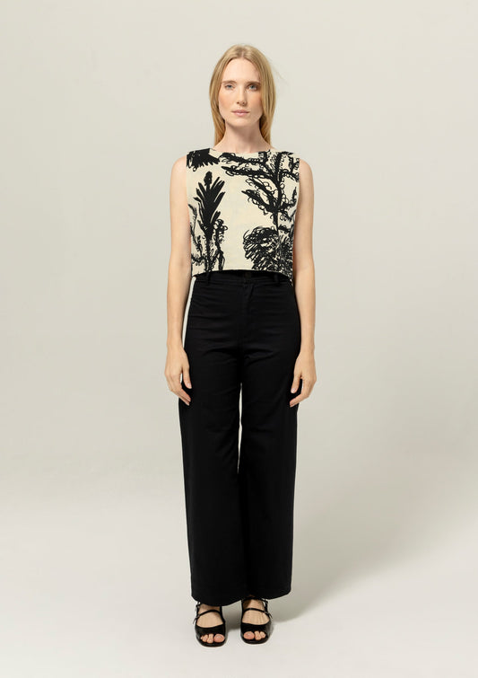Mesa Top